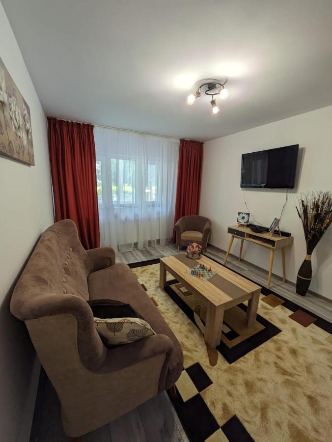 Apartamentul Alfa Слэник-Молдова Экстерьер фото
