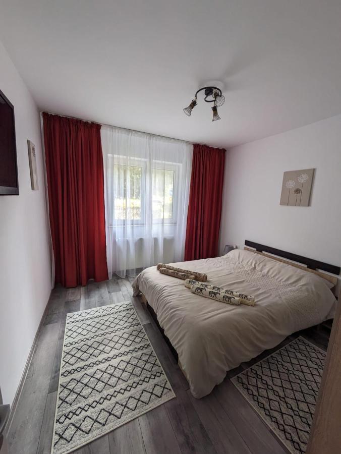 Apartamentul Alfa Слэник-Молдова Экстерьер фото